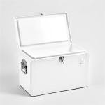 Toolbox Cooler